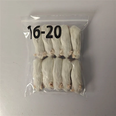 Advantages of frozen mice for snakes